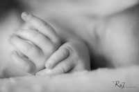 Fotografos recien nacido logroño, bebes